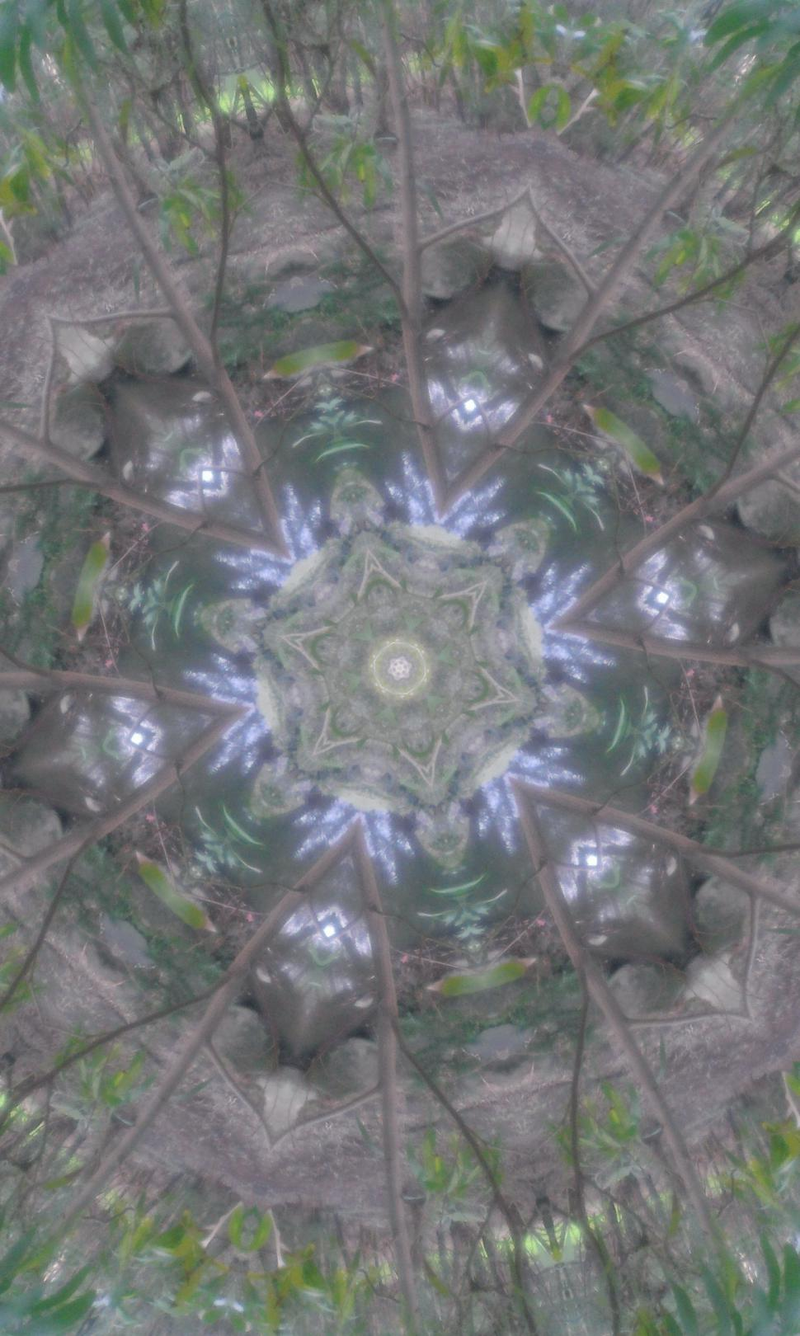 Illustration for article titled 7 Trippy Kaleidoscopes Made From Plain Photos